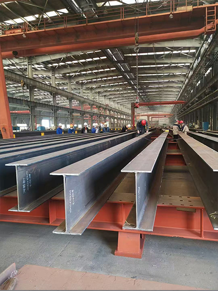 Heavy Industrial Plant steel structure project